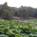 Beijing_20060724_015