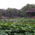 Beijing_20060724_018